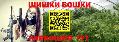 круглые Кингисепп