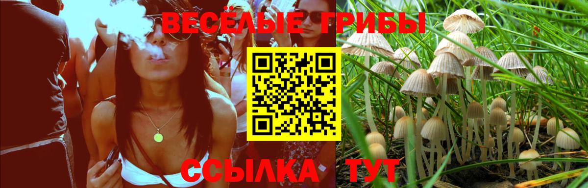 Кохма  цены   Галлюциногенные грибы GOLDEN TEACHER  Вход с VPN  Галлюциногенные грибы Cubensis 